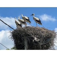 2-etažna kuća na prodaju, Ivanovo, 199.990€, 213m²