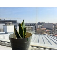 Jednoiposoban stan na prodaju, Centar, 57.500€, 30m²