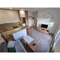 Jednosoban stan za izdavanje, Tesla, 400€, 39m²