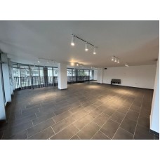Poslovni prostor za izdavanje, Tamiš Kapija 113m².